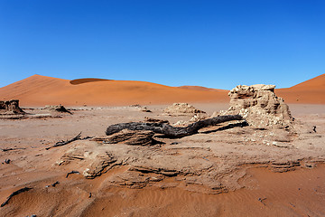 Image showing Sossusvlei beautiful landscape of death valley