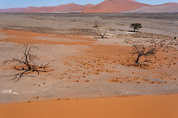 Image showing Dune 45 in sossusvlei Namibia, view from the top of a Dune 45 in sossusvlei Namibia, view from the top