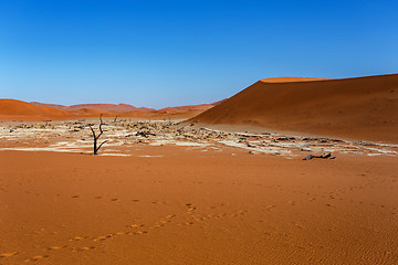 Image showing Sossusvlei beautiful landscape of death valley