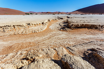 Image showing Sossusvlei beautiful landscape of death valley