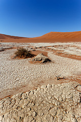 Image showing Sossusvlei beautiful landscape of death valley