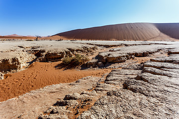 Image showing Sossusvlei beautiful landscape of death valley