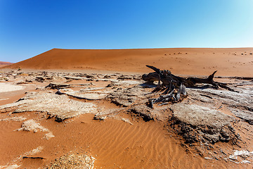 Image showing Sossusvlei beautiful landscape of death valley