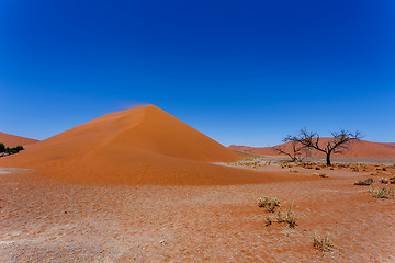 Image showing Dune 45 in sossusvlei NamibiaDune 45 in sossusvlei Namibia, view