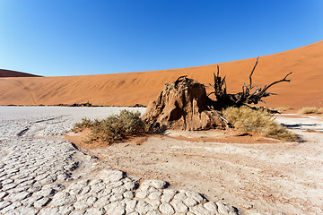 Image showing Sossusvlei beautiful landscape of death valley