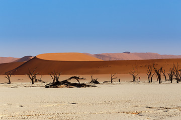 Image showing Sossusvlei beautiful landscape of death valley