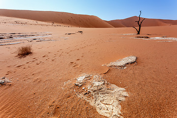 Image showing Sossusvlei beautiful landscape of death valley