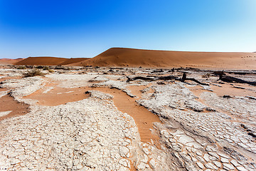 Image showing Sossusvlei beautiful landscape of death valley