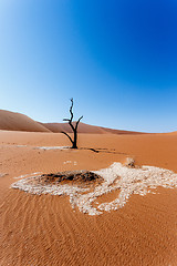 Image showing Sossusvlei beautiful landscape of death valley