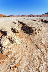 Image showing Sossusvlei beautiful landscape of death valley