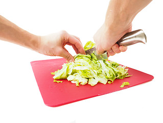 Image showing Hands cutting fresh green lettuce salad with grey metal knife on