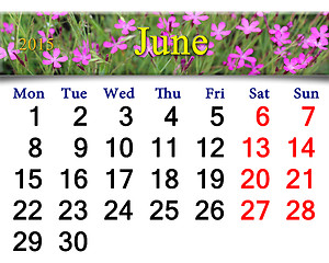 Image showing calendar for July of 2015 year with wild carnation