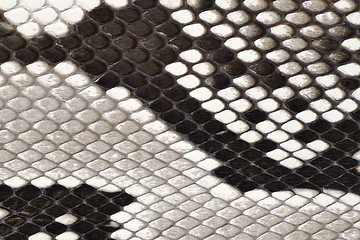 Image showing snake skin leather material