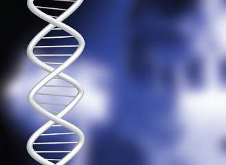 Image showing dna