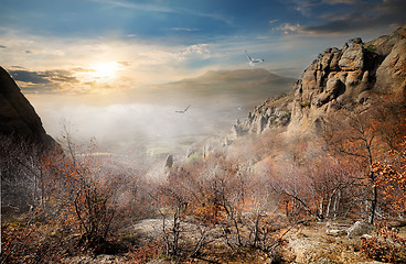 Image showing Birds over autumn rocks