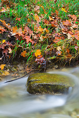 Image showing Rocks in a stream