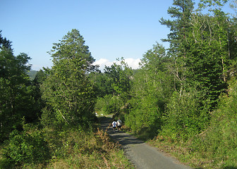 Image showing Walking in the forest, Vestfold, Norway
