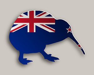 Image showing Kiwi on gray