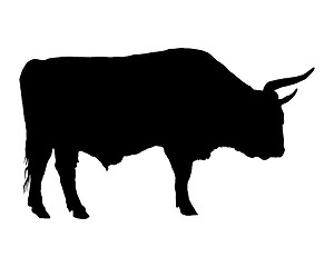 Image showing Aurochs on white