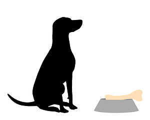 Image showing Dog feeding