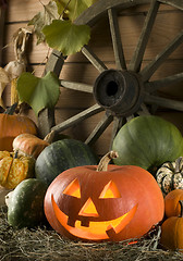 Image showing halloween