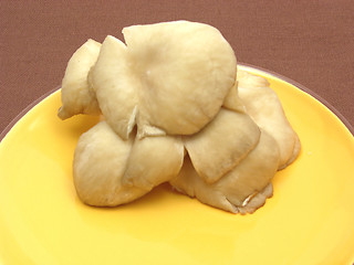 Image showing Oyster mushrooms on ceramic plate on brown