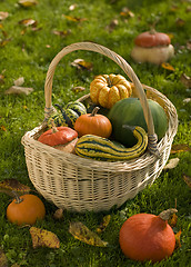 Image showing harvest