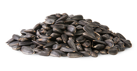 Image showing Pile Of Sunflower Seeds