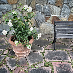 Image showing Ceramic pot with white roses on tile background