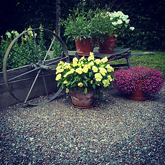 Image showing Garden decorated with flowers and old wheel