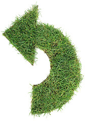 Image showing Undo Grass Arrow