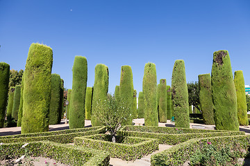 Image showing Italian Garden