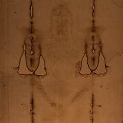 Image showing The Holy Shroud