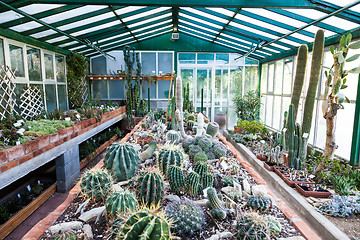 Image showing Cactus greenhouse