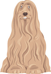 Image showing bearded collie dog cartoon