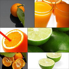 Image showing citrus fruits collage