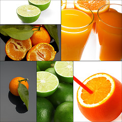 Image showing citrus fruits collage