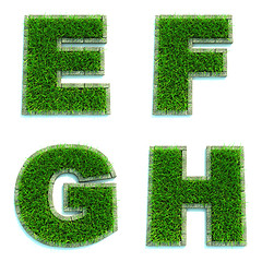 Image showing Letters E, F, G, H as Lawn - Set of 3d.