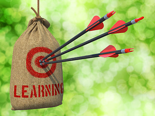 Image showing Learning - Arrows Hit in Red Target.