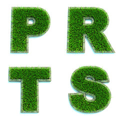 Image showing Letters P, R, T, S as Lawn - Set of 3d.