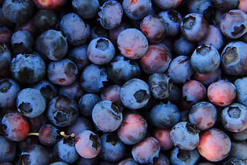 Image showing fruits background (blueberries)