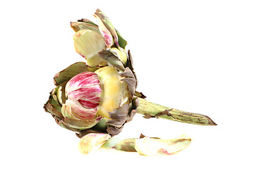 Image showing old artichoke 