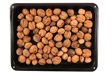 Image showing walnuts background