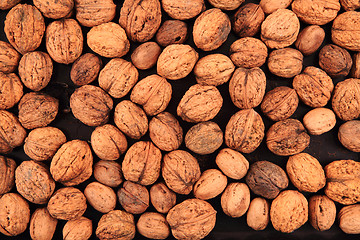 Image showing walnuts background