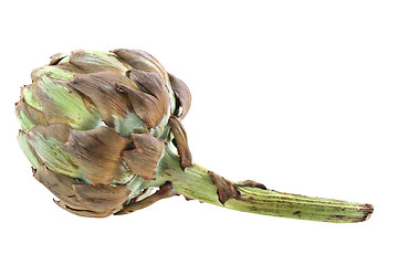 Image showing old artichoke 