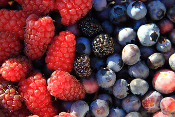Image showing fruits background (blueberries, raspberries, blackberries)