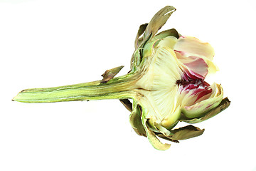 Image showing old artichoke 