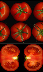 Image showing tomatoes collage
