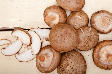 Image showing shiitake mushrooms