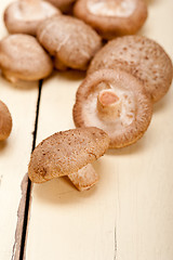 Image showing shiitake mushrooms